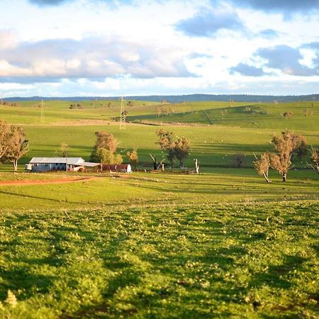 Wantana Cottage Farmstay Boorowa Екстериор снимка